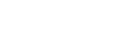 Saneg